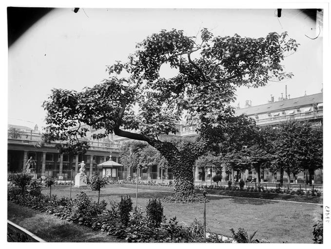 sap01\_mh00087183\_p